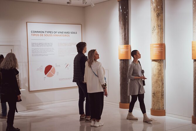 Porto: Wine Experience Museum with 3 Wine Tastings - Who should book this wine museum in Porto