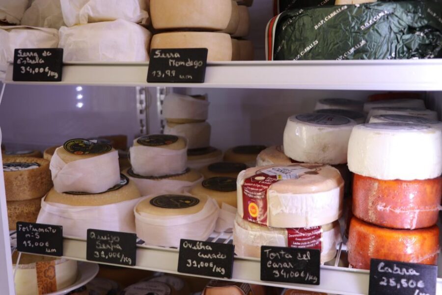 Portuguese Wine Tasting w Local Cheese & Cold Cuts pairing - Price and value: what $34 buys you in the real world
