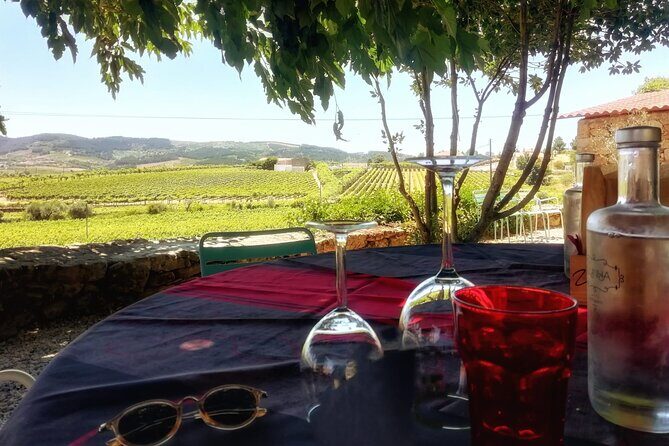 Premium Douro Valley Small-Group Tour, Wine Tasting, Lunch & Boat - Porto to the Douro: how the morning drive sets the tone
