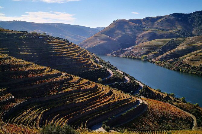 Premium Private Douro Tour: 3 Wineries with Tastings & Lunch - Key things I’d circle on your map