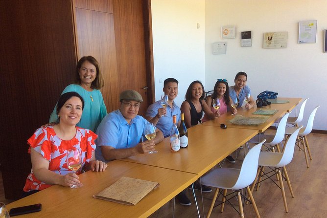 Premium Private Vinho Verde Tour:3 Wineries with Tastings & Lunch - Porto Pickup and a 10-Hour Day That’s Actually Managed
