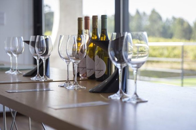 Premium Private Vinho Verde Tour:3 Wineries with Tastings & Lunch - Private-Group Comfort: When the Day Turns Personal