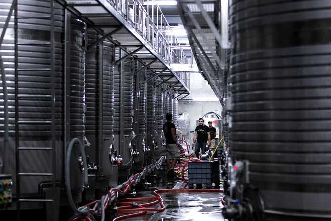 Premium Private Vinho Verde Tour:3 Wineries with Tastings & Lunch - What to Bring and How to Prepare for Day-Trip Comfort