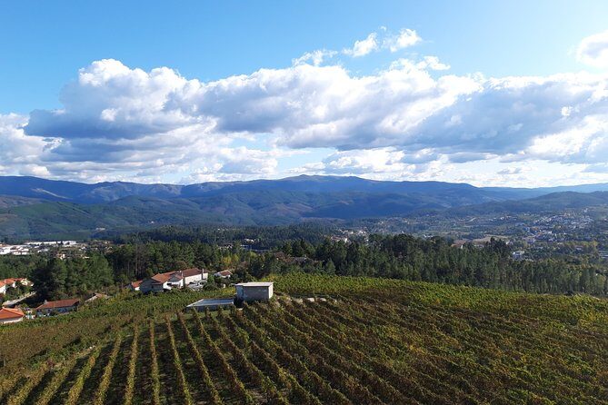 Premium Tasting | Quinta de Santa Cristina Vinho Verde - Quinta de Santa Cristina in Braga: Why This Tasting Works
