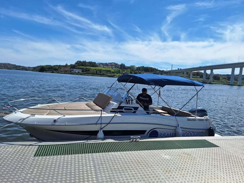 Private 6 Bridges Cruise in Porto with Optional Sunset - Price and value: what you get for $84 per person