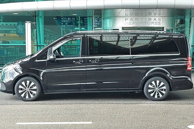 Private Airport Transfer from the Airport to Porto - Meet-and-greet pickup: welcome sign plus luggage help