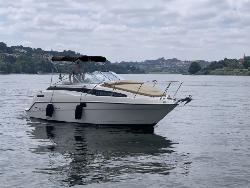 Private Cruise in Rio Douro - 2 hours - Up to 8 Passengers - Price and value: why this can work out well for small groups
