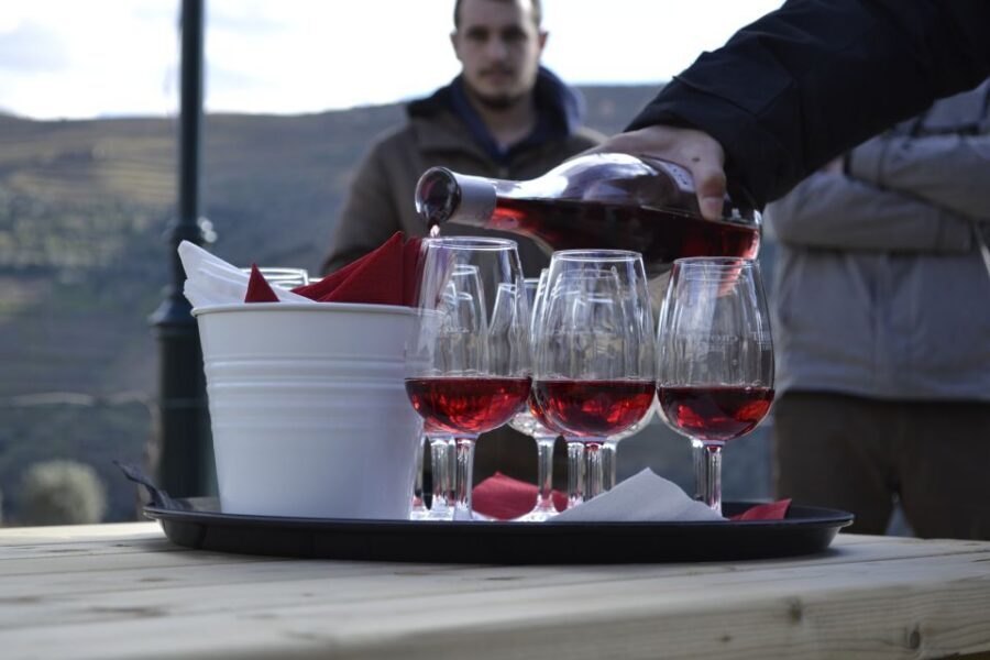 Private Douro Valley 4WD Tour with Wine Tasting and Picnic - Who this Douro tour fits best