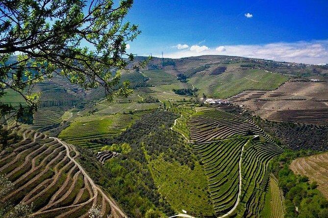 Private Douro Valley - Senses Experiences - Private Douro Valley Day from Porto: Why This Tour Works