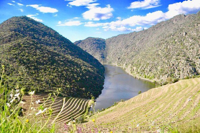 Private Douro Valley - Senses Experiences - Booking Support: Lunch Reservations, Cellar Visits, and Even a Boat Trip