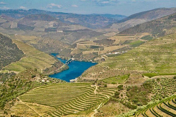 Private Douro Valley - Senses Experiences - Price and Logistics: Is $380.85 per Group Good Value?