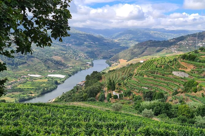 Private Douro Valley Tour (2 wineries + boat) - Lunch you choose: how the optional meal slot keeps your day workable