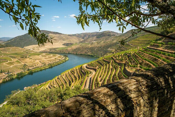 Private Douro Valley Tour: Boutique Winery & River Cruise - What the day actually feels like