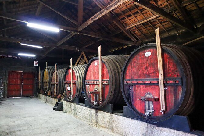 Private Douro Valley Tour: Boutique Winery & River Cruise - Peso da Régua pass-by: a quick stop with big regional context