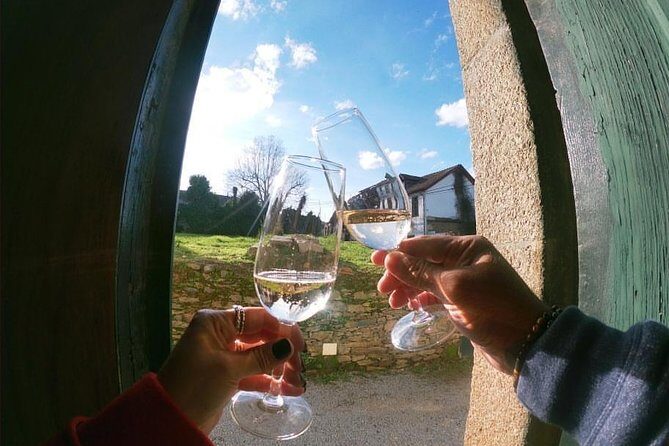 Private Douro Valley Tour from Porto - Lunch in the Douro: choices that fit different appetites
