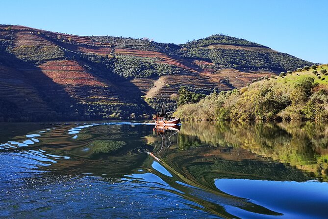 Private Douro Valley Wine Tour + Lunch and Boat Cruise - Key things to know before you go