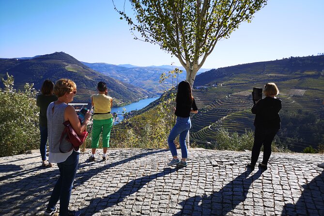 Private Douro Valley Wine Tour + Lunch and Boat Cruise - Why Pinhão is the smart start for Douro Valley wine days