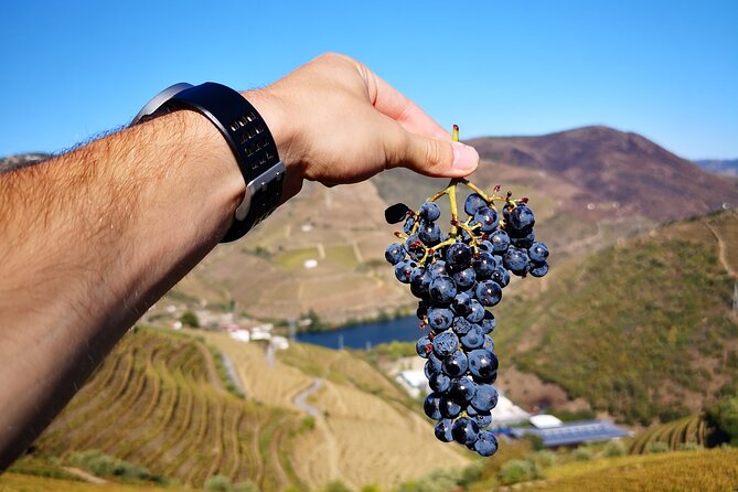 Private Douro Valley Wine Tour + Lunch and Boat Cruise - Douro River boat cruise: the 50-minute terrace show