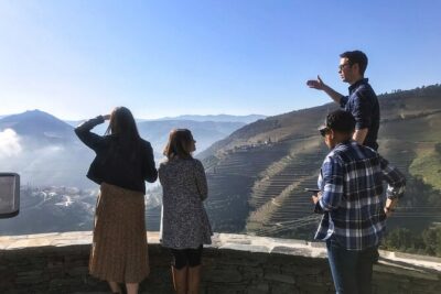 Private Douro Valley Wine Tour + Lunch and Boat Cruise - The Douro Valley tastings: what you’re really paying for
