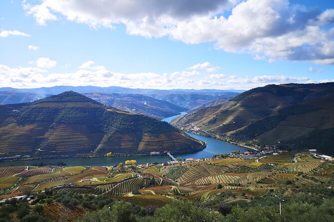 Private Douro Valley Wine Tour + Lunch and Boat Cruise - Price and logistics: does $434 feel worth it?