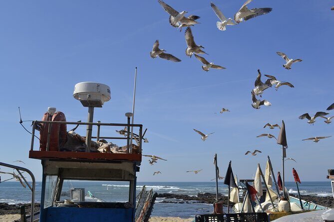 Private Fish Experience with Market-to-table lunch from Porto - Angeiras: watching the fishermen come in