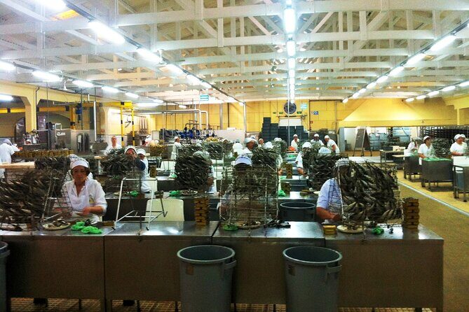 Private Fish Experience with Market-to-table lunch from Porto - Matosinhos municipal market: choosing your fish for lunch