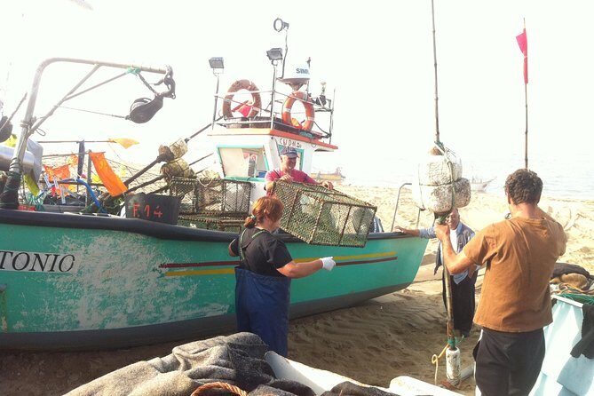 Private Fish Experience with Market-to-table lunch from Porto - Lunch: market-to-table really means market-to-plate