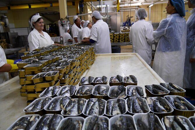Private Fish Experience with Market-to-table lunch from Porto - The guide factor: getting inside tips that stick