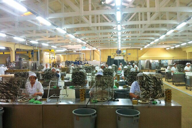 Private Fish Experience with Market-to-table lunch from Porto - Conservas Pinhais sardine factory tour (and tasting)
