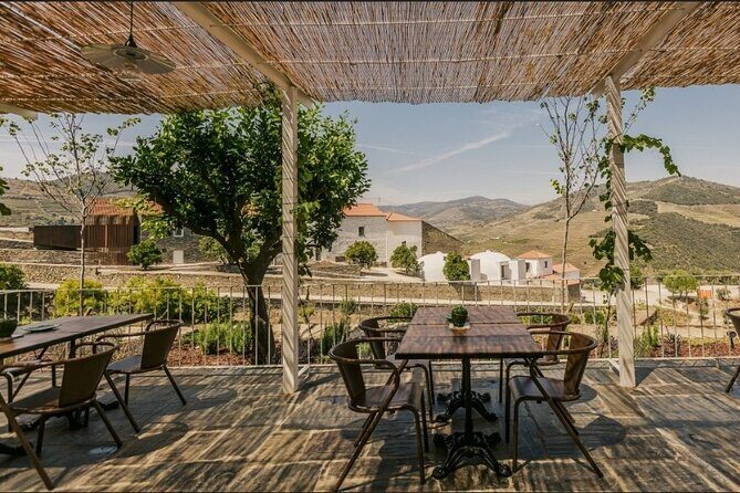 Private full-Day Tour to Douro Valley - Pinhão by Rabelo Boat: The Best 40 Minutes of the Day