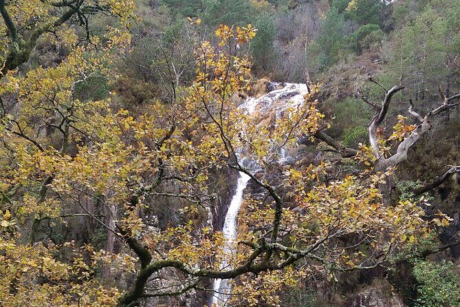 Private Guided Tour - Peneda Gerês National Park - Small Tips That Make This Day Go Smoother