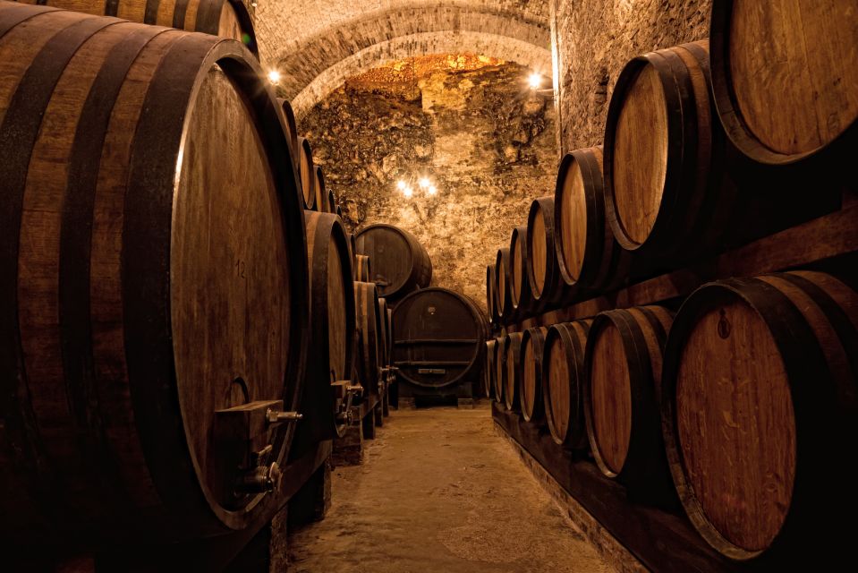 Private Porto Half-Day Tour - Wine Cellars & Cheese Tasting - Best Fit: Who This Tour Really Suits