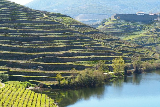 Private Premium Wine Experience through Douro Valley - Bagaúste electric boat trip: quiet river time with snacks and cocktails