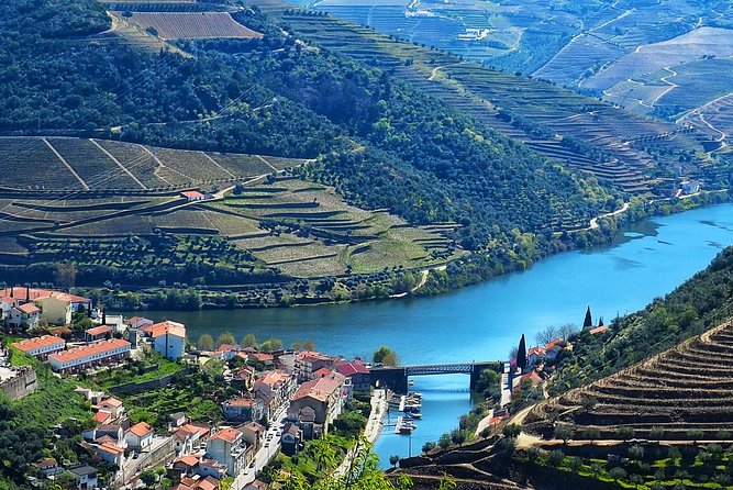 Private Premium Wine Experience through Douro Valley - Practical tips so the day runs smoothly