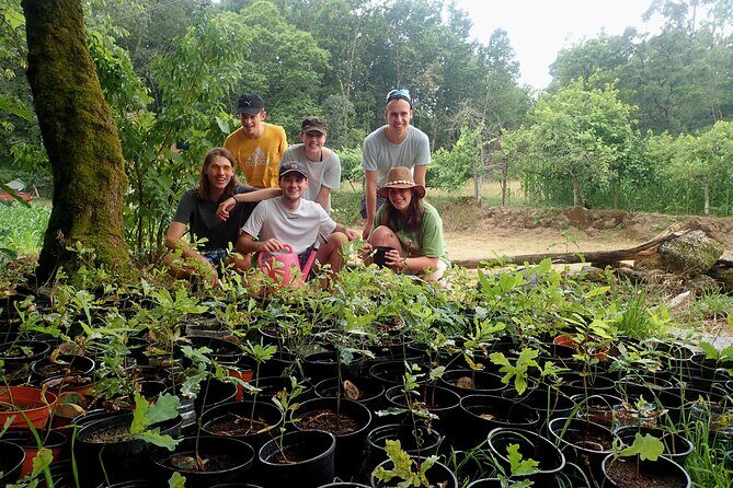 Private / tailor made experience in Gerês National Park - Reforestation project participation: your day includes conservation work
