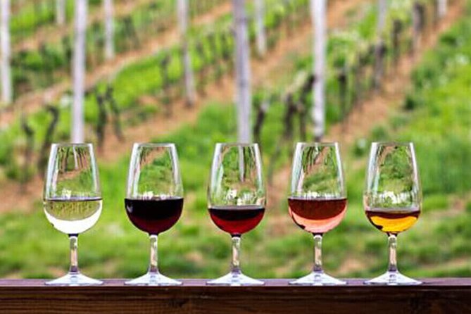 Private Taxi Tour in the Douro with a Visit to 2 Family Vineyards - Key highlights you’ll feel in your day