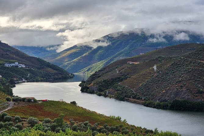Private Taxi Tour in the Douro with a Visit to 2 Family Vineyards - Private taxi comfort in the Douro from Peso da Régua
