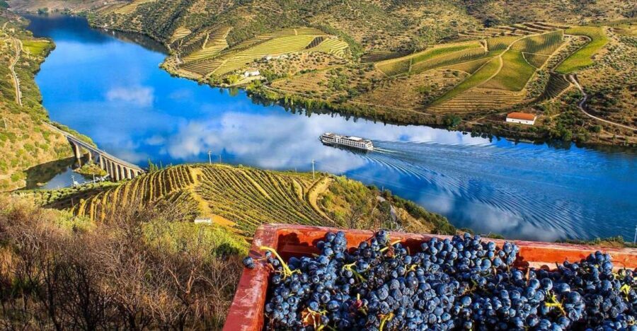 Private Tour: Douro Valley Wine and Food From Porto - Timing and comfort: 6 to 9 hours that don’t feel dragged