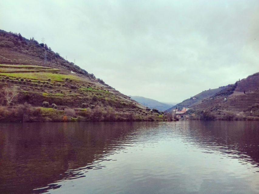 Private Tour: Douro Valley Wine and Food From Porto - Why this Douro day feels easier than DIY from Porto