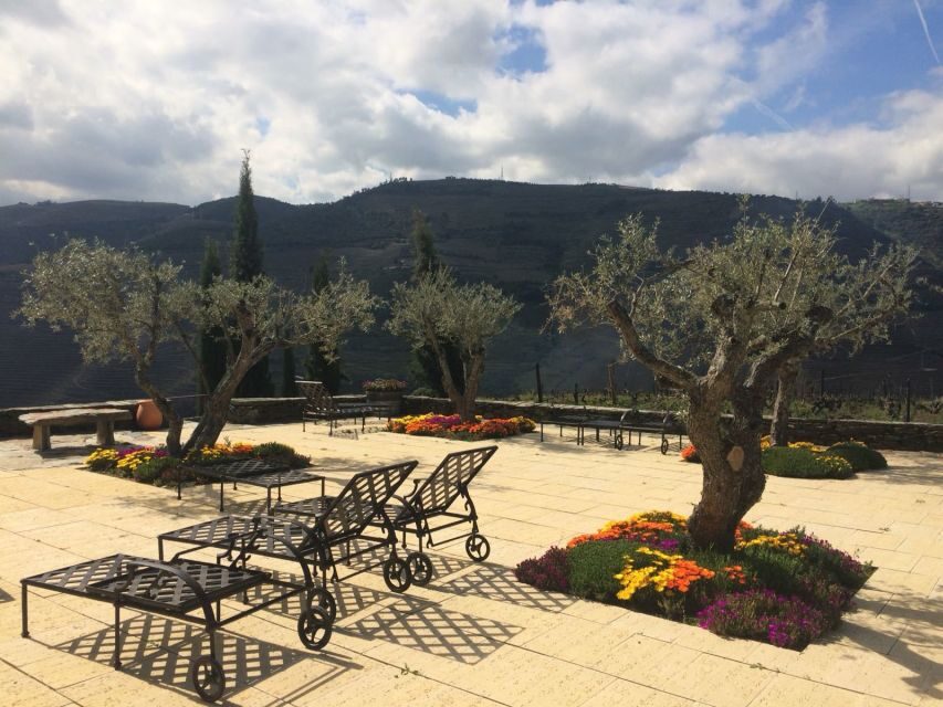 Private Tour: Douro Valley Wine and Food From Porto - Pinhão and the UNESCO Douro Valley: where the wine stories show up