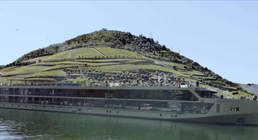 Private Tour: Douro Valley Wine and Food From Porto - Lunch in the Douro: you control the style of the meal