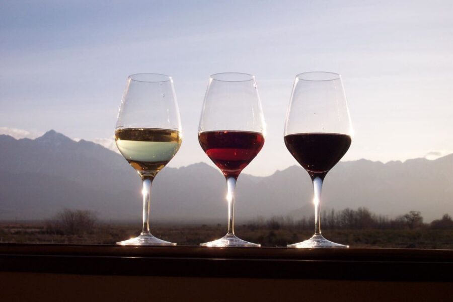 Private Tour: Douro Valley Wine and Food From Porto - Winery options: morning visit when you want it