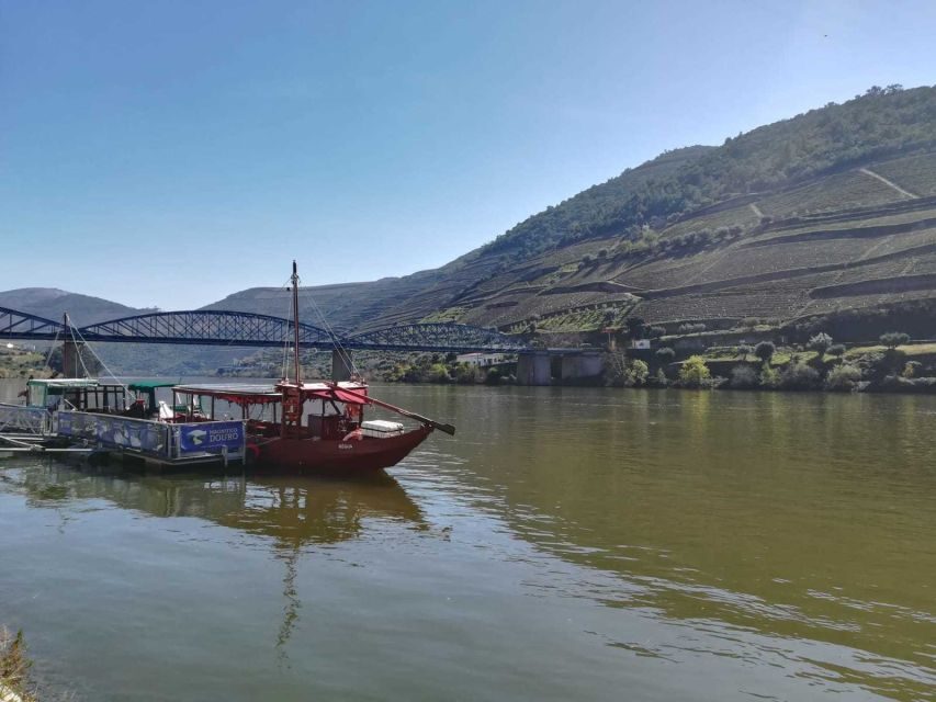 Private Tour: Douro Valley Wine and Food From Porto - Cruise vs. Pinhão time: how to choose your afternoon