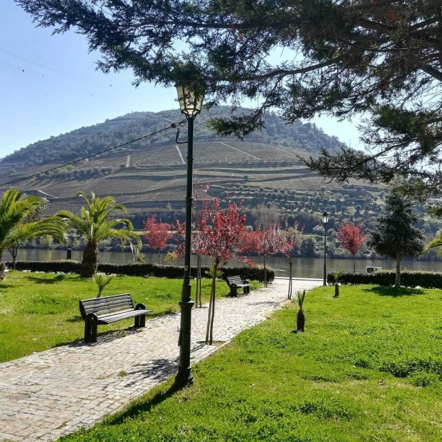 Private Tour: Douro Valley Wine and Food From Porto - Guides make the day: narration, languages, and real flexibility