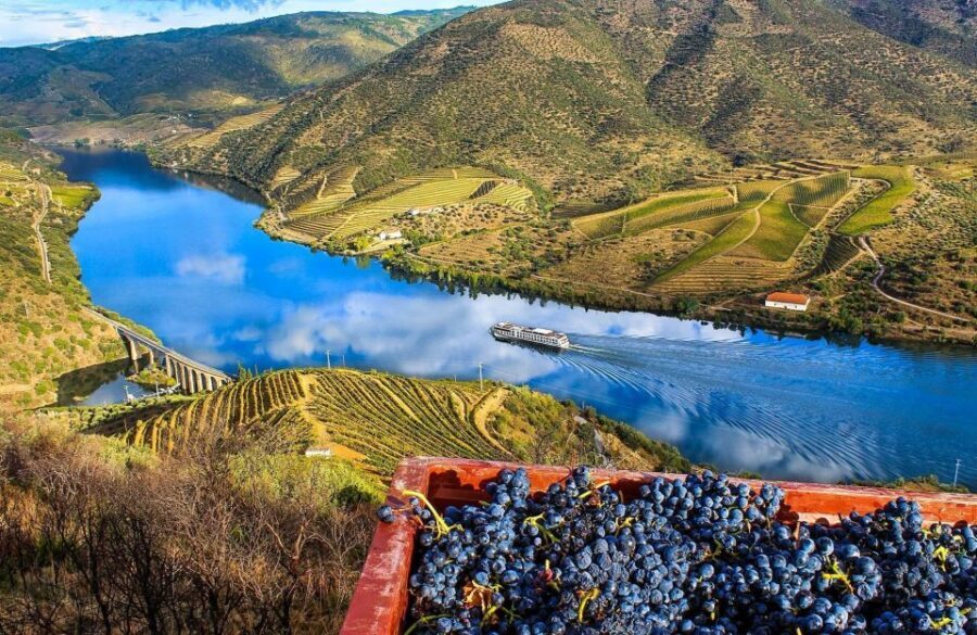 Private Tour: Douro Valley Wine and Food From Porto - The van ride to Peso da Régua: views plus a first wine tasting