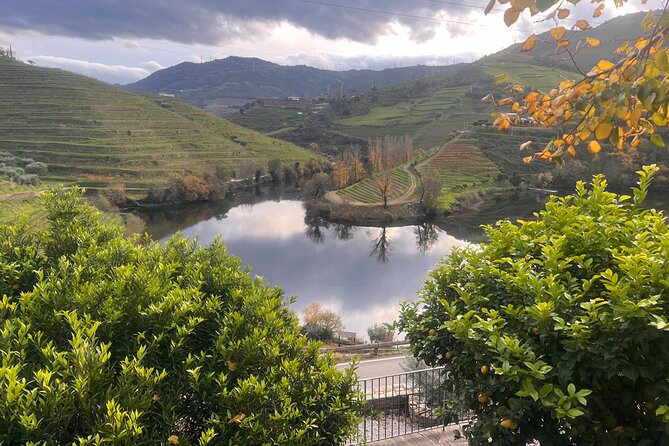 Private Tour From Porto To Douro Valley With River Boat Ride - Rabelo boat ride on the Douro: vineyards, still water, and your hands on the wheel