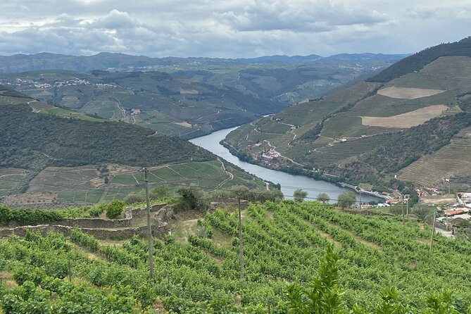 Private Tour From Porto To Douro Valley With River Boat Ride - Casal de Loivos: DOC wine, olive oil, and a village that slows you down