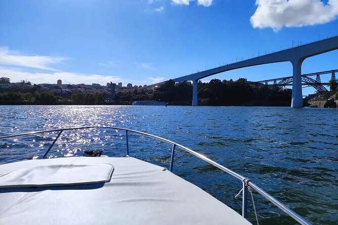 Private Tour of the Bridges and Douro River 2h, group price up to 6px - Ponte do Infante Dom Henrique: The Newer Bridge Moment