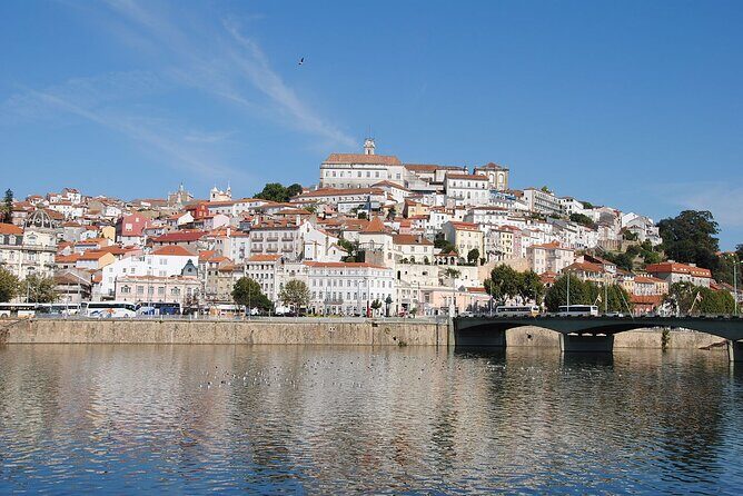 Private Tour: Porto to Lisbon: visit Aveiro,Coimbra,Fatima,Obidos - Coimbra’s university city: where learning meets old streets