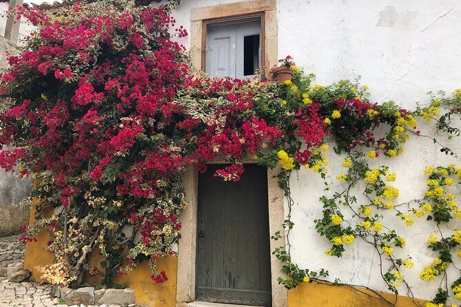 Private Tour: Porto to Lisbon: visit Aveiro,Coimbra,Fatima,Obidos - Getting there comfortably: the private vehicle setup